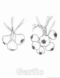 Teach your children about healthy eating. Garlic Coloring Pages