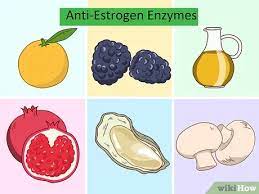 Explains that both vitamin d and estrogen work together to reduce the risk of cardiovascular disease. 3 Ways To Lower Estrogen In Men Wikihow