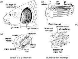 Chapter Quiz Mcgraw Hill Education Access Engineering