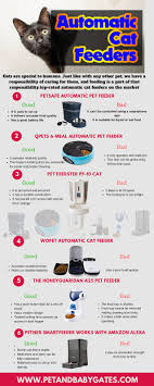 Petlike dog bowls pet food bowls, no spill cat food bowl water food feeder pet dishes for cat puppies small dogs. Choose The Best And Top Listed Automatic Cat Feeder