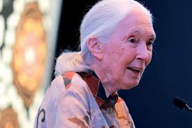 The magazine for ALUMNI and friends of the University of the Witwatersrand