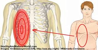 It is made up of curved bones called ribs. Pain Under Right Rib Cage Causes And When To See A Doctor