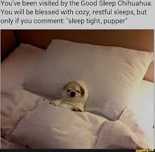 You Ve Been Visited By The Good Sleep Chihuahua You Will Be Blessed With Cozy Restful Sleeps But Only If You Comment Sleep Tight Pupper