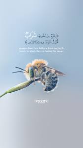 يخرج من بطونها شراب مختلف ألوانه فيه شفاء للناس Beautiful Quran Quotes Quran Quotes Inspirational Quran Quotes Love