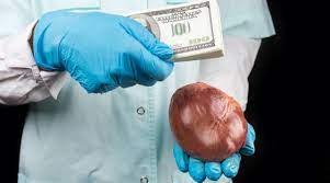 Kyrgyzstan busts organ trafficking ring, suspects apprehended