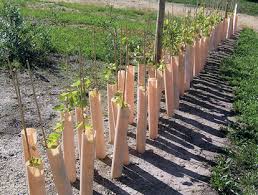 Check spelling or type a new query. Grow Tubes Faqs Mdtgrow Com