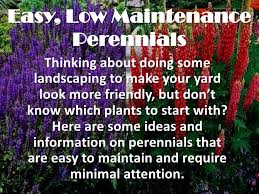 They may have fewer demands on those around them and be more spontaneous as their needs are not as constrained and their options are greater to fit changing. Low Maintenance Perennial Ideas