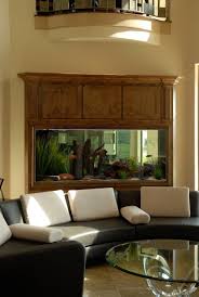 Impressive room dividers with fish and corals look great in the dining room and living room interior. Modern Fish Tanks Living Room Ideas Photos Houzz