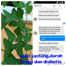 © copyright 2021, rama works®. Air Rebusan Daun Rerama Asli Rawat Daun Rerama Ajaib Facebook