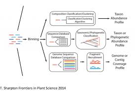 Taxonomic Classification Ngs Analysis