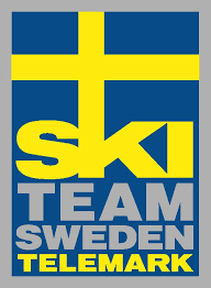 Logotyp för SKI TEAM SWEDEN