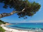 Location Vacances, Location saisonniere Porto Vecchio - Vivastreet