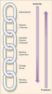 Nurse Chain Of Command Chart Google Search Nursing