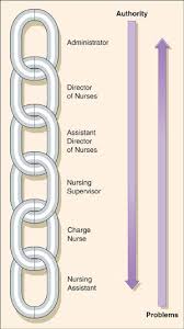 nurse chain of command chart google search nursing