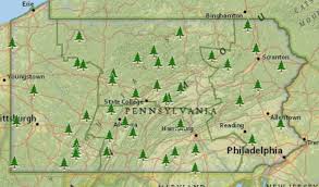 World's end state park is forest in northeast pennsylvania with great camping and hiking anyone will enjoy camping at world's end state park. Cabins In Pennsylvania State Parks The Ultimate Guide