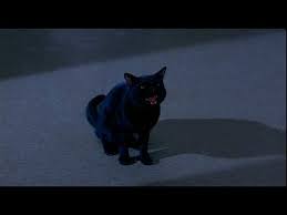 The Most Famous Cats In Movies Cats Hocus Pocus Movie Favorite Movies