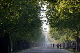 Prater Park Great Runs