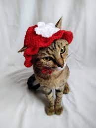 Summer Hat For Cat Red Brim Kitty Hat Flower Hats For Cats Etsy Hat For Cat Hats For Cats Pet Costumes