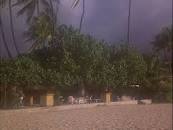 Image result for magnum pi king kamehameha club location