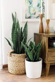 Comment Fabriquer Un Panier Cache Pot Par Mon Magasin General Arredamento Casa Vintage Accessori Per La Decorazione Della Casa Arredamento Piante Da Interni