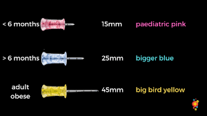 Image result for Intraosseous Access