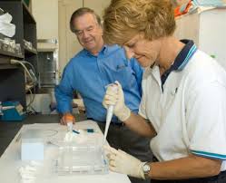 Lisa Goessling, Robert Thach, [IMAGE]