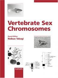 Vertebrate Sex Chromosomes | NHBS Academic & Professional Books