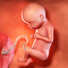 Signs Of Pregnancy: The 15 Earliest & Weirdest Symptoms