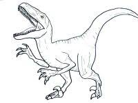 You can use our amazing online tool to color and edit the following jurassic world raptor coloring pages. Jurassic World Coloring Pages Indoraptor Pdf Free Printable Jurassic World Indoraptor Coloring Pages To Print Pictures Ecolorings Info