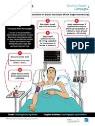 Western journal of emergency medicine. Surviving Sepsis Hour 1 Bundle Infograph Sepsis Shock Circulatory