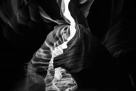 We did not find results for: Nature Black And White Pictures Download Free Images On Unsplash