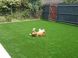 Good job done of trimming 4 clumps gracilis bamboo and taking away the cuttings. How To Choose The Pet Friendly Artificial Grass For Your Dogs