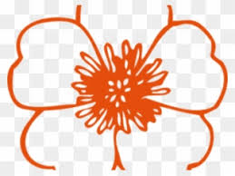 Download apple blossom stock vectors. Buttercup Clipart Apple Blossom Flower Vector Png Hd Black Transparent Png Full Size Clipart 3487401 Pinclipart