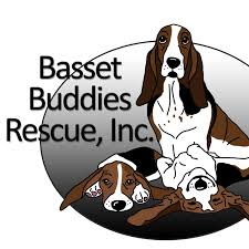 Maybe you would like to learn more about one of these? Wisconsin Adopt A Golden Retriever Home Facebook