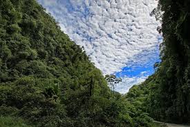 Tingo Maria In Peru General Information Weather Map Photo And Video Selva Amazonica Cities Fotos