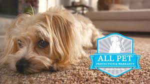 Shop machines from popular brands like hoover and bissell. Best Carpet For Pets Smartstrand Forever Clean Youtube