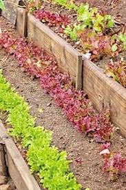 These gardens can be on flat or hilly pieces of land. Hillside Terrace Gardens Grown By You