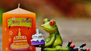 Auguri Per Il Compleanno Quando E Giusto Farli Vita Insieme