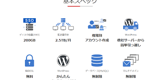 爆速化 お名前 Comのsdプランからrsプランへの乗り換え方法 Pickerlab
