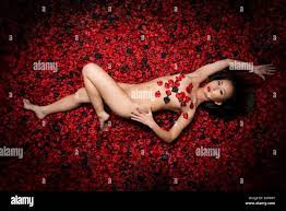 American Beauty style image - a naked nude young asian chinese ethnic  woman girl lying on her back in a field of red petals Stock Photo - Alamy