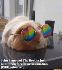 Jahu Lemon Of The Beatlesjust Minutes Before His Assassination 1980 Colorizcd Ifunny Mirrored Sunglasses Women Amazing Dog Stories Funny Animals