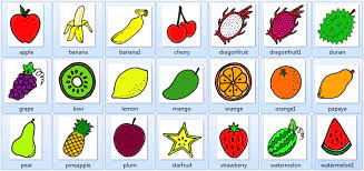 Semua tentang gambar bunga ini adalah gambaran betapa indahnya alam yang ada di seluruh dunia. 900 Gambar Buah Buahan Tempatan Kartun Paling Baru Gambar Id