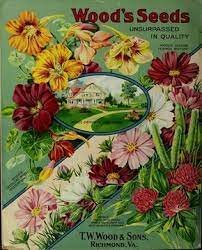 Tw Wood Sons Wood S Garden Farm Guide High Grade Seeds For 1914 Vintage Flowers Flower Seeds Packets Seed Catalogs