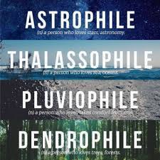 journ ey alist astrophile thalasshopile pluviophile rare words uncommon words pretty words