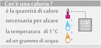 Bruciando invece grassi e proteine si ottengono rispettivamente 9,4 e 5,6 kcal. Calorie Degli Alimenti Il Fabbisogno Giornaliero E Spiegato