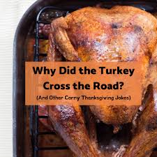 Plump thanksgiving turkey coloring page. 25 Thanksgiving Jokes Why Did The Turkey Cross The Road Holidappy