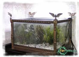 Starinnyj Akvarium Akvarium