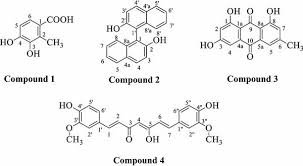 Image result for Clutia