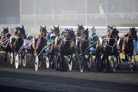 Maybe you would like to learn more about one of these? Quinte La Derniere Minute Du Prix Du Salon Du Cheval De Paris A Auteuil