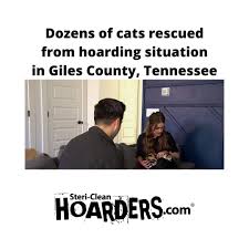 One of them has a cleft lip and a permanent wink. Added By Stericlean Instagram Post Dozens Of Cats Found Hoarded In A Giles County Home Are Now With Foster Families And Recovering From Illnesses Now A Nashville Animal Rescue Group Is Asking